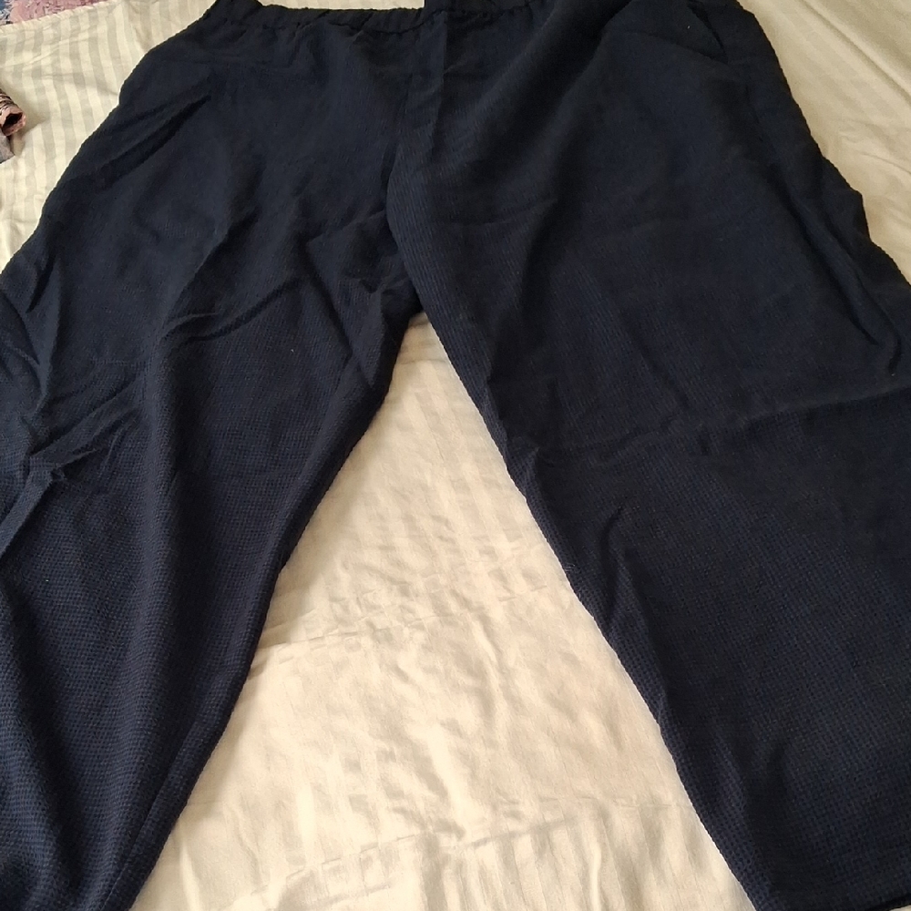 Eileen Fisher Womens Soft, Stylish Dress Pants. 1X